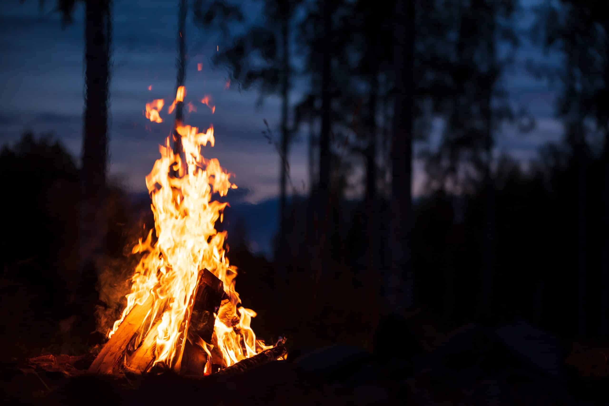 Trä som eldas i en brasa