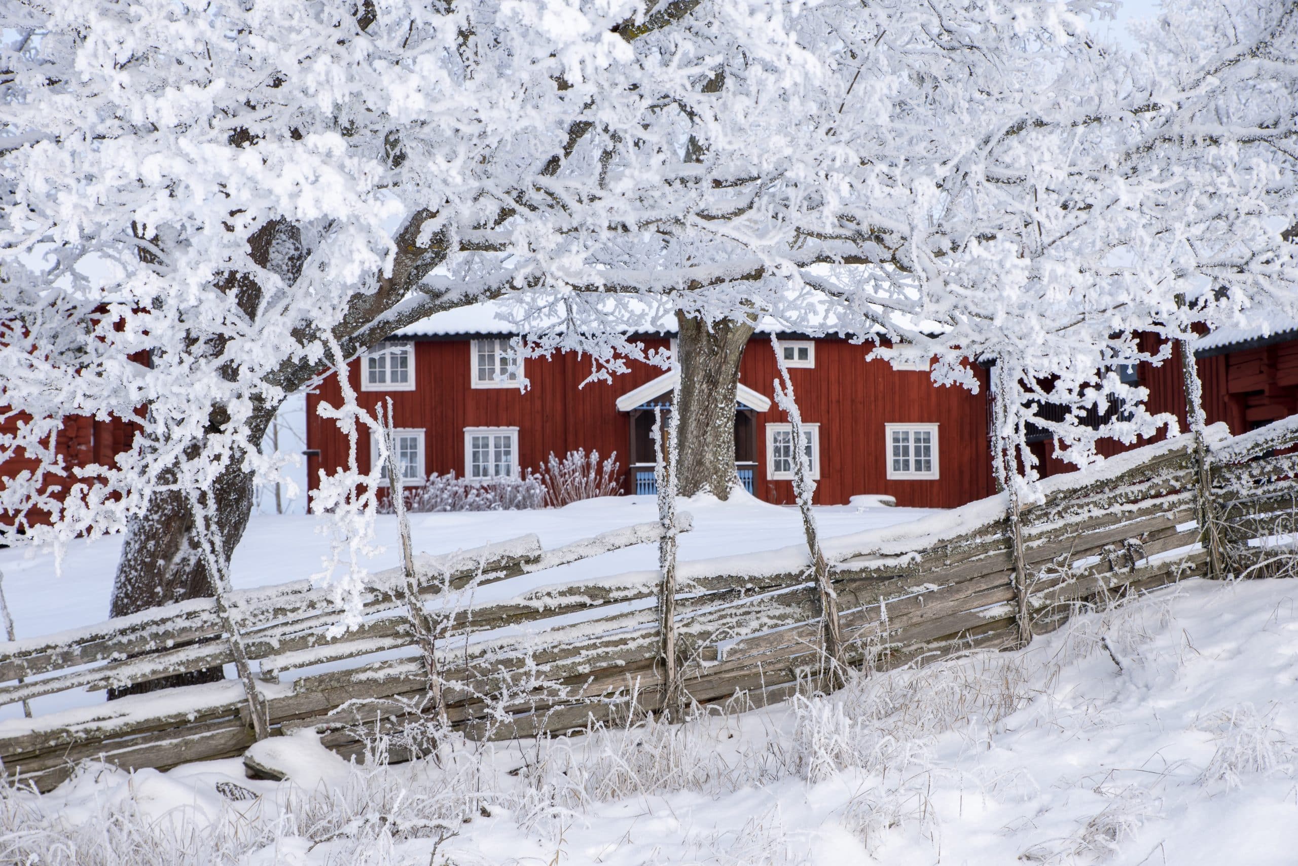 Falurött hus i vinterland
