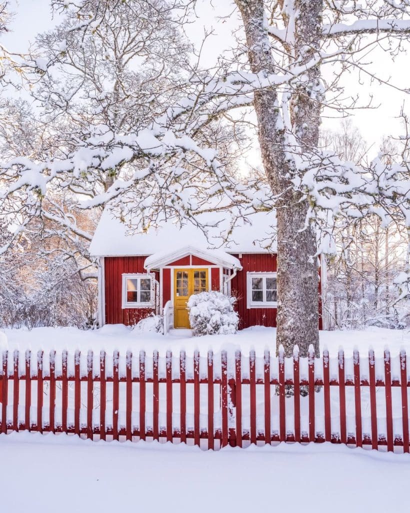 Månadens Bild – januari 2026