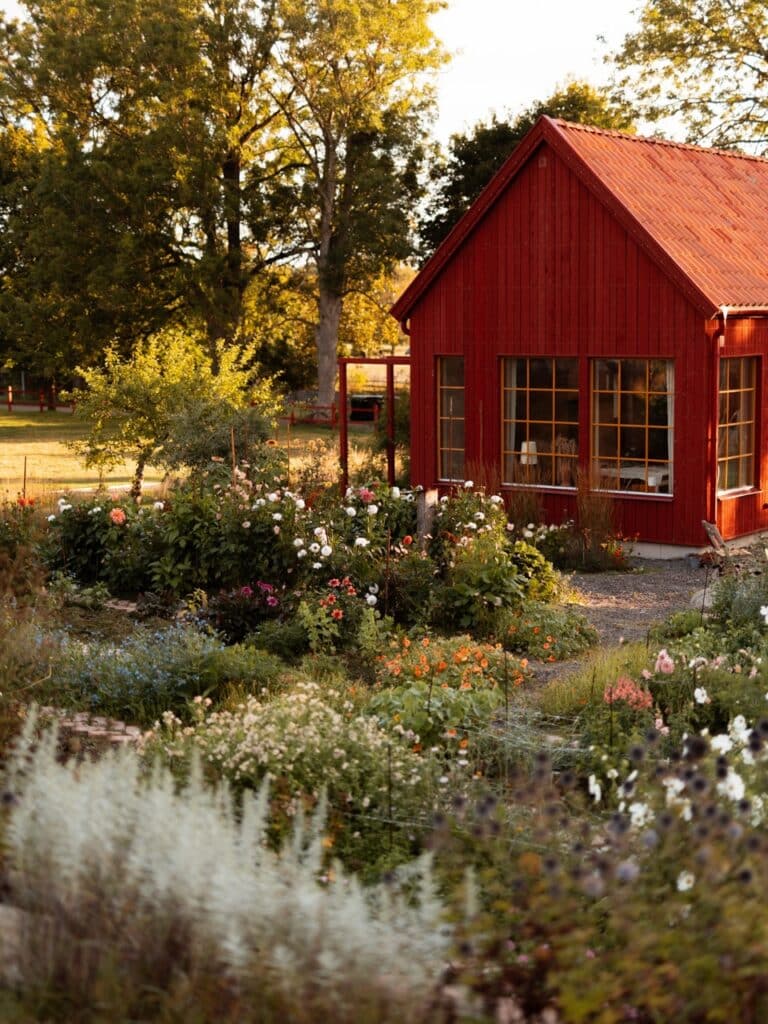 September månadens bild